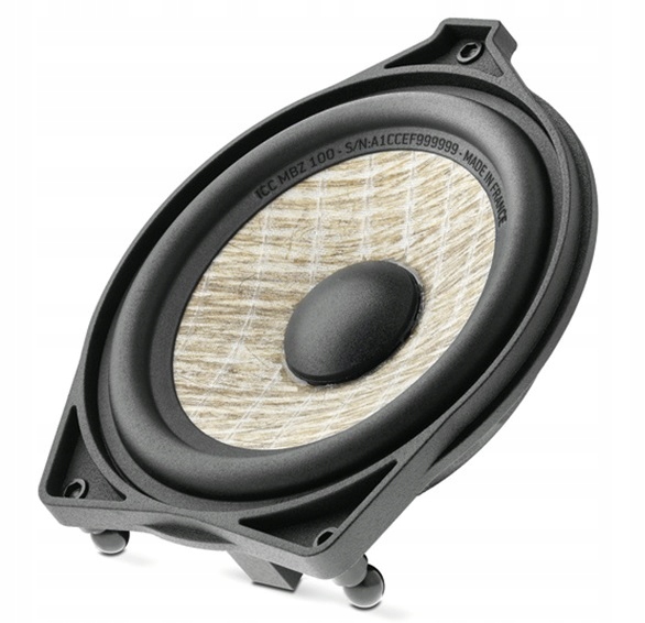 FOCAL Inside ICC MBZ 100 MERCEDES CENTRALNY