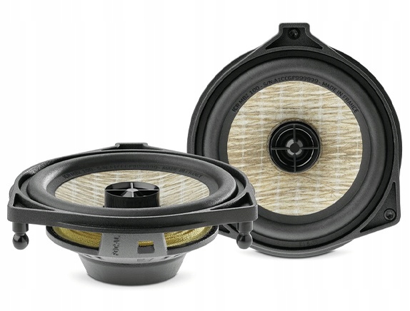 FOCAL Inside ICR MBZ 100