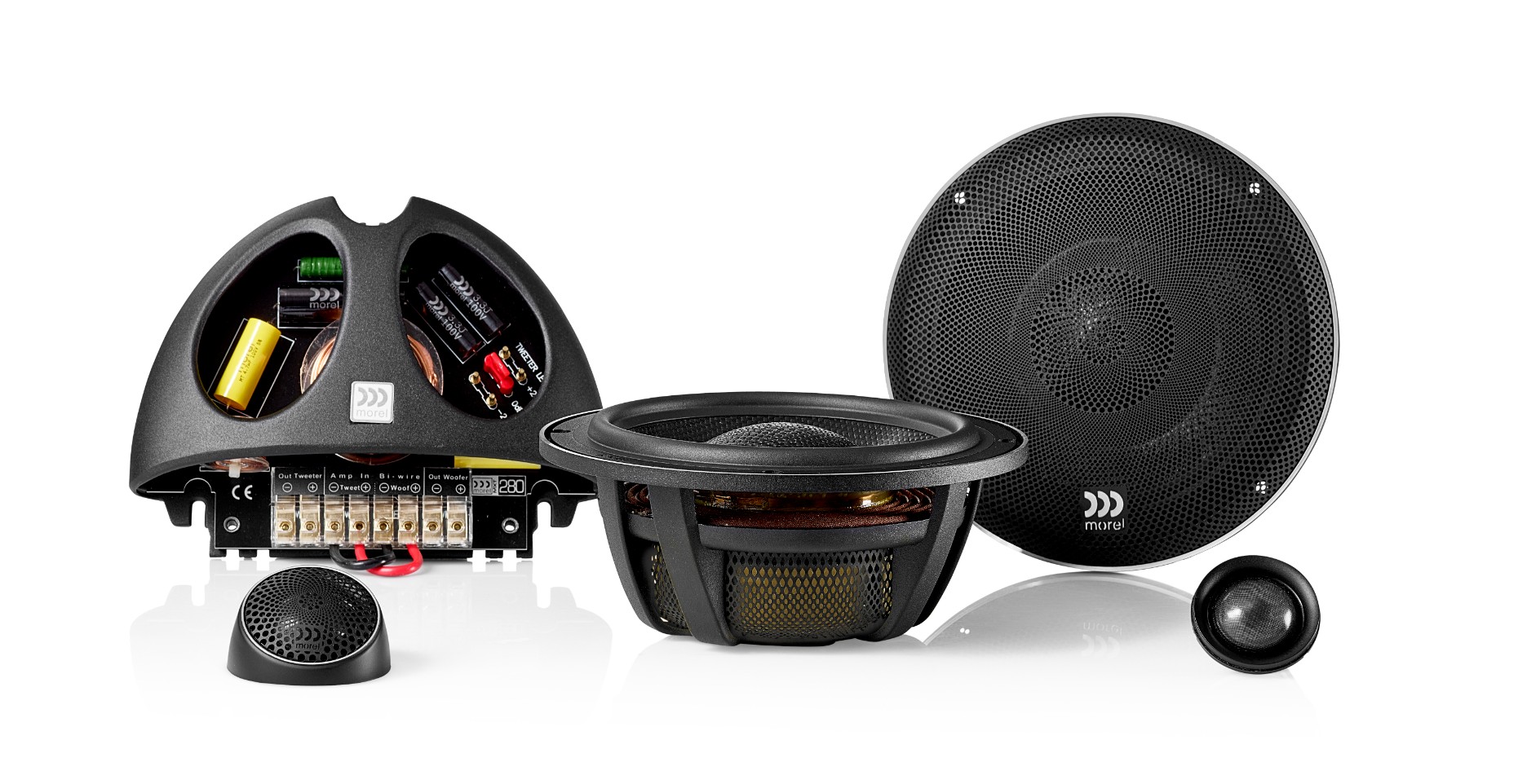 MOREL ELATE CARBON 62 zdjecie MOREL ELATE CARBON 62