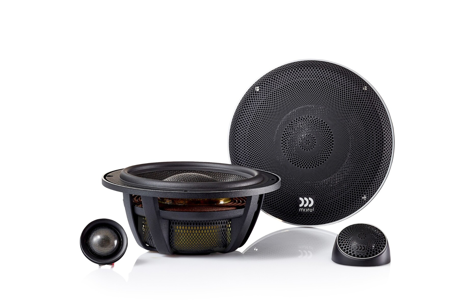 MOREL ELATE CARBON 62A zdjecie MOREL ELATE CARBON 62A